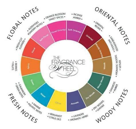 d&g scents|d meaning in english.